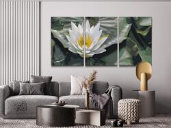 Festés számok szerint - Lótuszvirág, a bölcsesség jelképe (3 db-os készlet) Méret: 30x40cm (3db), Keretezés: Kartonlemezen