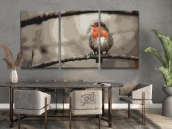 Festés számok szerint - Vörösbegy (3 db-os készlet) Méret: 40x60cm (3db), Keretezés: Kartonlemezen