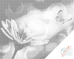  PontPöttyöző - Pillangó és rebarbara Méret: 40x50cm, Keretezés: Műanyagtáblával, Szín: Fekete