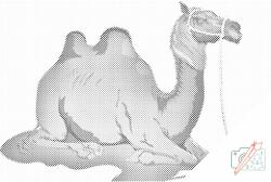  PontPöttyöző - Rajzfilm teve Méret: 40x60cm, Keretezés: Kartonlemezen, Szín: Fekete