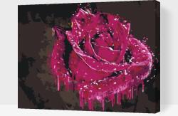 Festés számok szerint - Díszrózsa Méret: 30x40cm, Keretezés: Műanyagtáblával