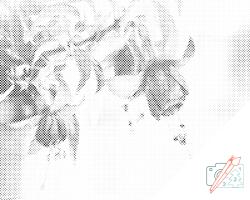  PontPöttyöző - Cserepes fukszia Méret: 30x40cm, Keretezés: Kartonlemezen, Szín: Fekete