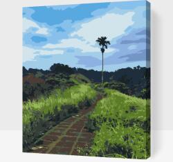Festés számok szerint - Séta a rizsföldeken, Bali Méret: 30x40cm, Keretezés: Műanyagtáblával