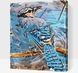  Festés számok szerint - Kék szajkó Méret: 30x40cm, Keretezés: Kartonlemezen