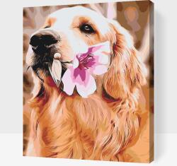Festés számok szerint - Labrador virággal Méret: 30x40cm, Keretezés: Műanyagtáblával