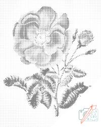  PontPöttyöző - Vintage rózsa Méret: 30x40cm, Keretezés: Kartonlemezen, Szín: Kék