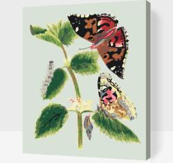 Festés számok szerint - Vintage pillangók I Méret: 40x50cm, Keretezés: Műanyagtáblával