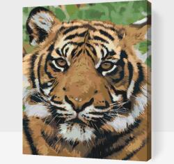  Festés számok szerint - Tigrisfej 2 Méret: 30x40cm, Keretezés: Műanyagtáblával