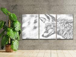  PontPöttyöző - Vad róka (3 db-os készlet) Méret: 30x40cm (3db), Keretezés: Kartonlemezen, Szín: Piros