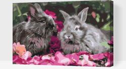 Festés számok szerint - Nyuszi a virágok között Méret: 40x60cm, Keretezés: Műanyagtáblával