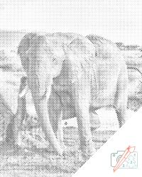 PontPöttyöző - Safari - elefánt Méret: 30x40cm, Keretezés: Műanyagtáblával, Szín: Zöld