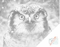  PontPöttyöző - Bagoly Méret: 30x40cm, Keretezés: Kartonlemezen, Szín: Fekete