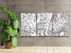 PontPöttyöző - Kóbor cica az erdőben (3 db-os készlet) Méret: 40x60cm (3db), Keretezés: Műanyagtáblával, Szín: Zöld