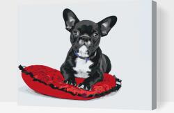 Festés számok szerint - Párnán fekvő fekete bulldog Méret: 40x50cm, Keretezés: Műanyagtáblával