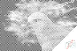  PontPöttyöző - sólyom Méret: 40x60cm, Keretezés: Kartonlemezen, Szín: Kék