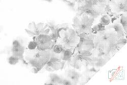 PontPöttyöző - Virágzó cseresznye Méret: 40x60cm, Keretezés: Kartonlemezen, Szín: Fekete