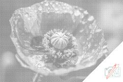  PontPöttyöző - Pipacs Méret: 40x60cm, Keretezés: Kartonlemezen, Szín: Kék