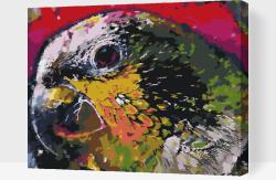 Festés számok szerint - Papagáj Méret: 40x50cm, Keretezés: Műanyagtáblával