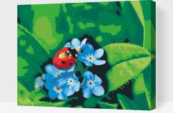  Festés számok szerint - Katica kék virágon Méret: 40x50cm, Keretezés: Műanyagtáblával
