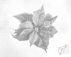  PontPöttyöző - Mikulásvirág Méret: 40x50cm, Keretezés: Kartonlemezen, Szín: Zöld