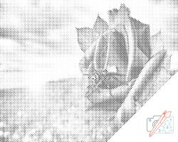  PontPöttyöző - Méhecske rózsán Méret: 30x40cm, Keretezés: Kartonlemezen, Szín: Zöld