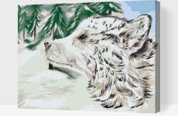  Festés számok szerint - Kutya hóban Méret: 40x50cm, Keretezés: Műanyagtáblával