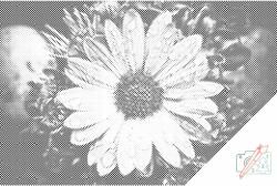  PontPöttyöző - Vízcseppek virágon Méret: 40x60cm, Keretezés: Kartonlemezen, Szín: Piros