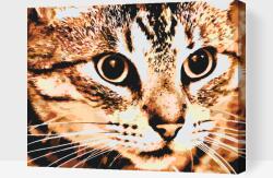 Festés számok szerint - Tigris macska Méret: 40x50cm, Keretezés: Fatáblával