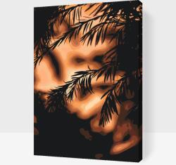  Festés számok szerint - Naplemente árnyék Méret: 40x60cm, Keretezés: Műanyagtáblával