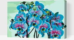  Festés számok szerint - Kék orchidea Méret: 40x60cm, Keretezés: Műanyagtáblával