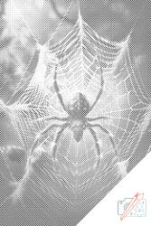  PontPöttyöző - Pók a pókhálóban Méret: 40x60cm, Keretezés: Fatáblával, Szín: Kék