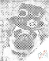 PontPöttyöző - Mops kalappal Méret: 40x50cm, Keretezés: Műanyagtáblával, Szín: Kék