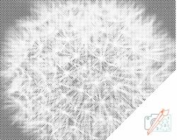  PontPöttyöző - Pitypang Méret: 40x50cm, Keretezés: Műanyagtáblával, Szín: Zöld