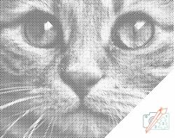  PontPöttyöző - Macska tekintete Méret: 30x40cm, Keretezés: Kartonlemezen, Szín: Zöld