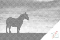  PontPöttyöző - Csataló Méret: 40x60cm, Keretezés: Műanyagtáblával, Szín: Zöld