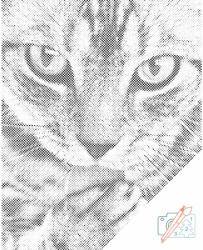  PontPöttyöző - Aranyos cica Méret: 40x50cm, Keretezés: Műanyagtáblával, Szín: Zöld