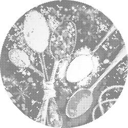  PontPöttyöző - Fűszerek Méret: 50x50cm, Keretezés: Műanyagtáblával, Szín: Piros