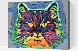 Festés számok szerint - Színpompás cica 2 Méret: 40x50cm, Keretezés: Műanyagtáblával