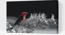  Festés számok szerint - Madár ágon Méret: 40x60cm, Keretezés: Kartonlemezen