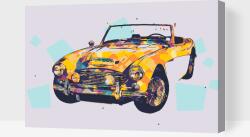  Festés számok szerint - Austin Healey Méret: 40x60cm, Keretezés: Műanyagtáblával