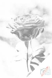  PontPöttyöző - Virágzó rózsa Méret: 40x60cm, Keretezés: Műanyagtáblával, Szín: Piros