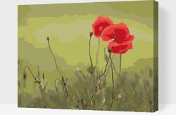  Festés számok szerint - Piros virágok Méret: 30x40cm, Keretezés: Kartonlemezen
