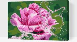 Festés számok szerint - Rózsa vízcseppekből álló pillangóval Méret: 40x60cm, Keretezés: Kartonlemezen