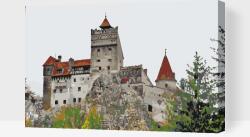 Festés számok szerint - Törcsvári kastély, Románia Méret: 40x60cm, Keretezés: Fatáblával