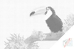  PontPöttyöző - Tukán ágon Méret: 40x60cm, Keretezés: Műanyagtáblával, Szín: Fekete