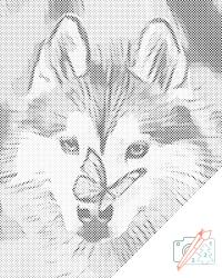 PontPöttyöző - Pillangó és husky Méret: 40x50cm, Keretezés: Kartonlemezen, Szín: Piros