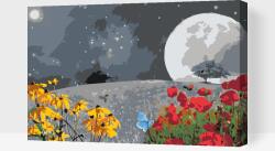 Festés számok szerint - Mezőn Méret: 40x60cm, Keretezés: Kartonlemezen
