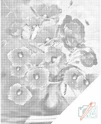 PontPöttyöző - Piros pipacsok Méret: 40x50cm, Keretezés: Kartonlemezen, Szín: Fekete