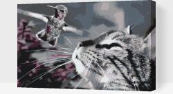  Festés számok szerint - Macska és madár Méret: 40x60cm, Keretezés: Kartonlemezen