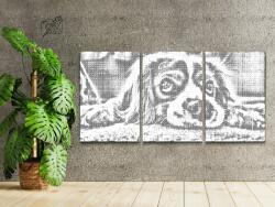 PontPöttyöző - Kiskutya bociszemekkel (3 db-os készlet) Méret: 40x60cm (3db), Keretezés: Műanyagtáblával, Szín: Zöld